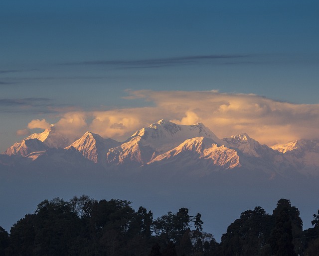 DARJEELING OFFBEAT STATION Banner